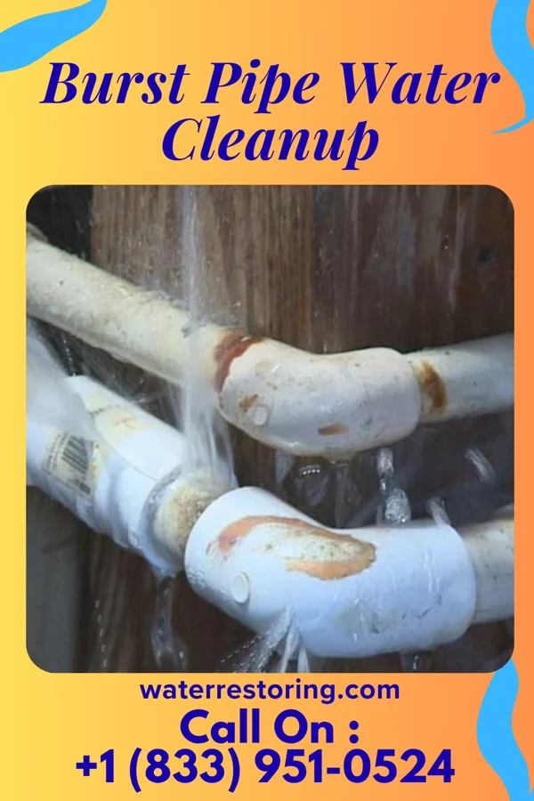 Burst Pipe Water Cleanup in Rossburg, OH