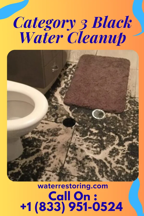 Category 3 Black Water Cleanup in Rossburg, OH