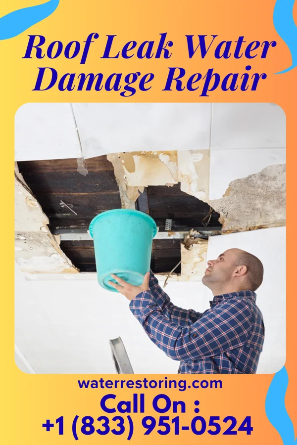 Roof Leak Water Damage Repair in Rossburg, OH