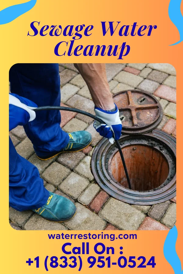 Sewage Water Cleanup in Rossburg, OH
